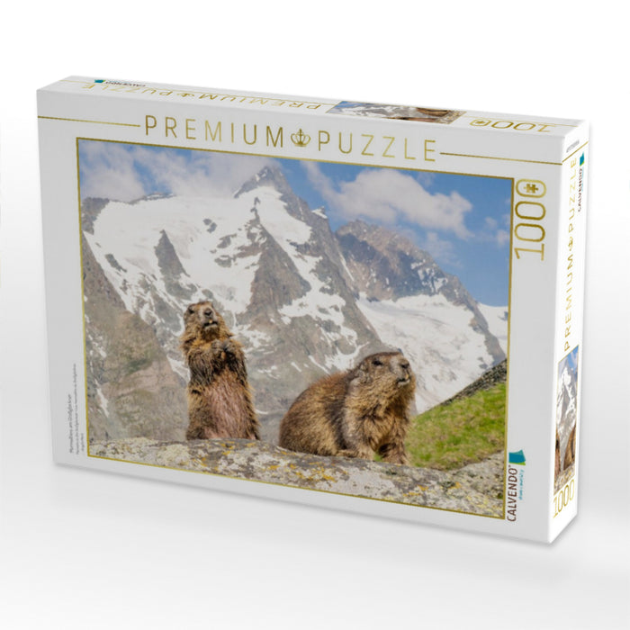 Murmeltiere am Großglockner - CALVENDO Foto-Puzzle'