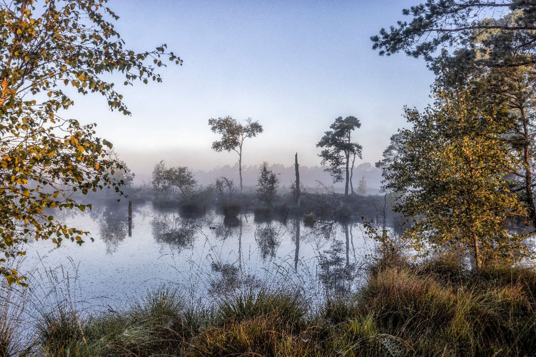 Premium Textil-Leinwand Das Pietzmoor in der Lüneburger Heide im Morgenlicht