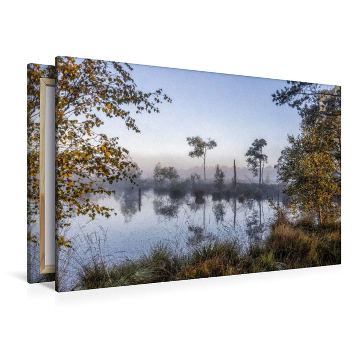 Premium Textil-Leinwand Das Pietzmoor in der Lüneburger Heide im Morgenlicht
