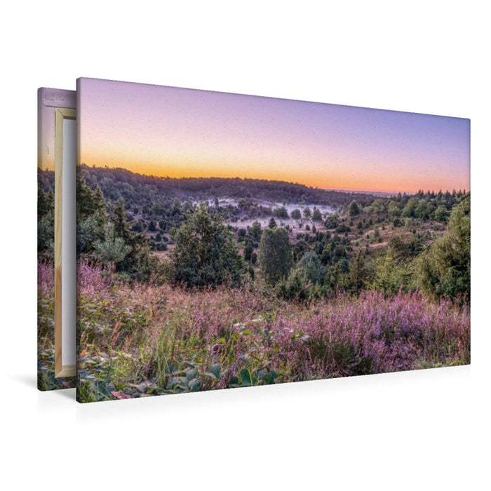 Premium Textil-Leinwand Der Totengrund in der Lüneburger Heide