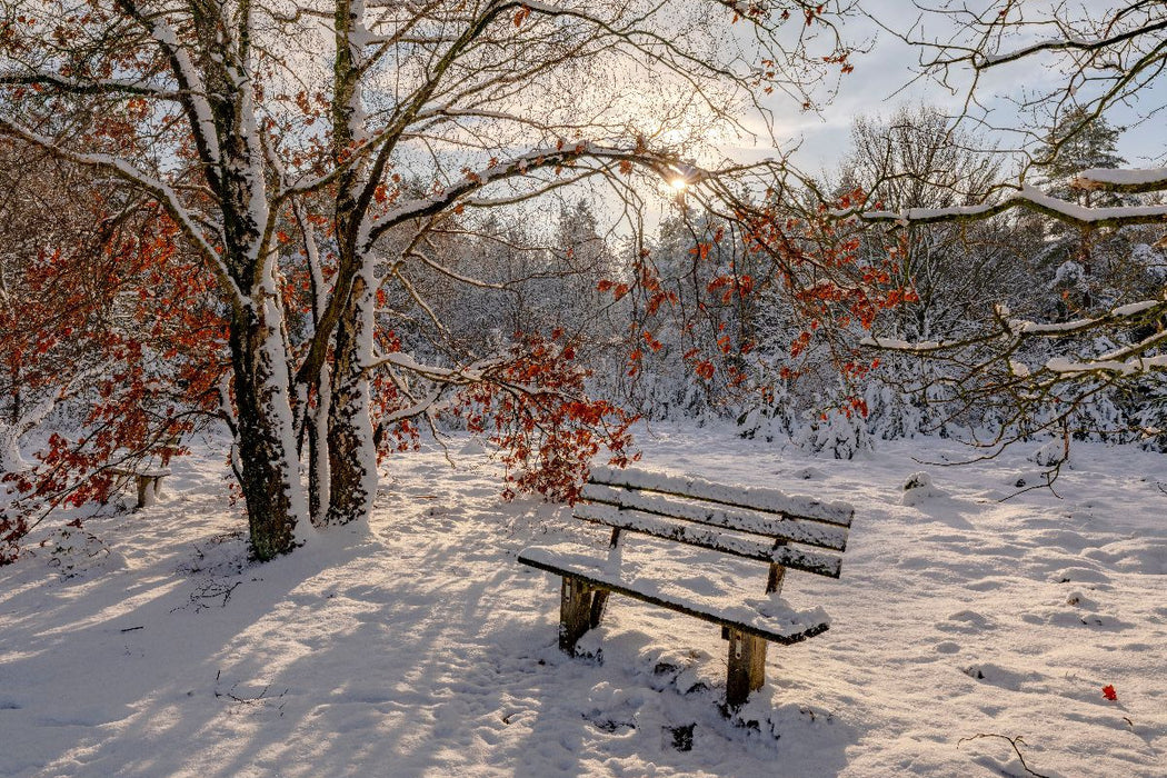 Premium Textil-Leinwand Winterzauber in der Lüneburger Heide