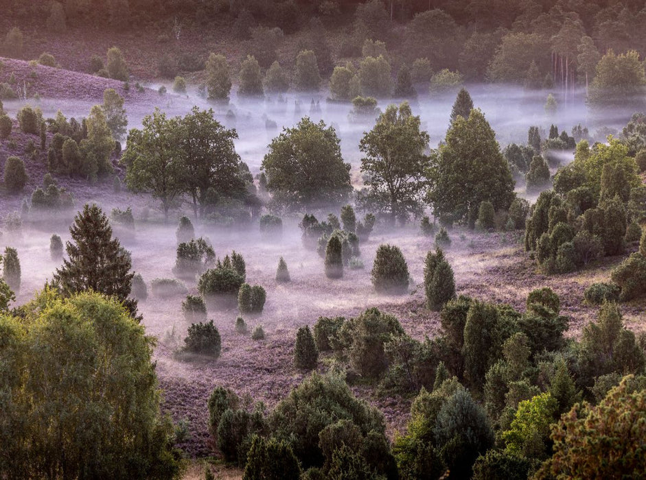 Magische Heideblicke im Totengrund - CALVENDO Foto-Puzzle'