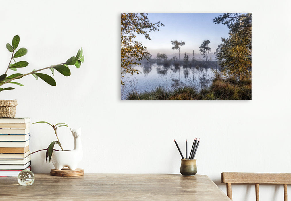 Premium Textil-Leinwand Das Pietzmoor in der Lüneburger Heide im Morgenlicht