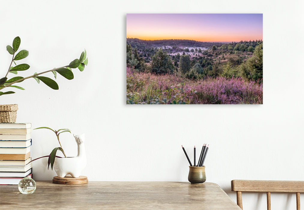 Premium Textil-Leinwand Der Totengrund in der Lüneburger Heide