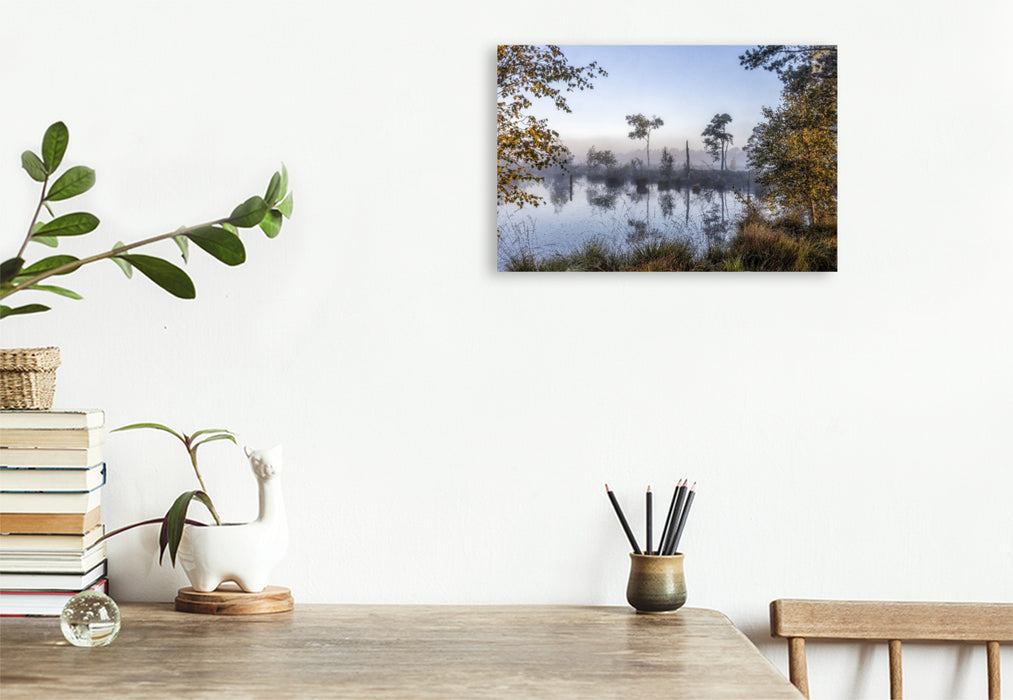 Premium Textil-Leinwand Das Pietzmoor in der Lüneburger Heide im Morgenlicht