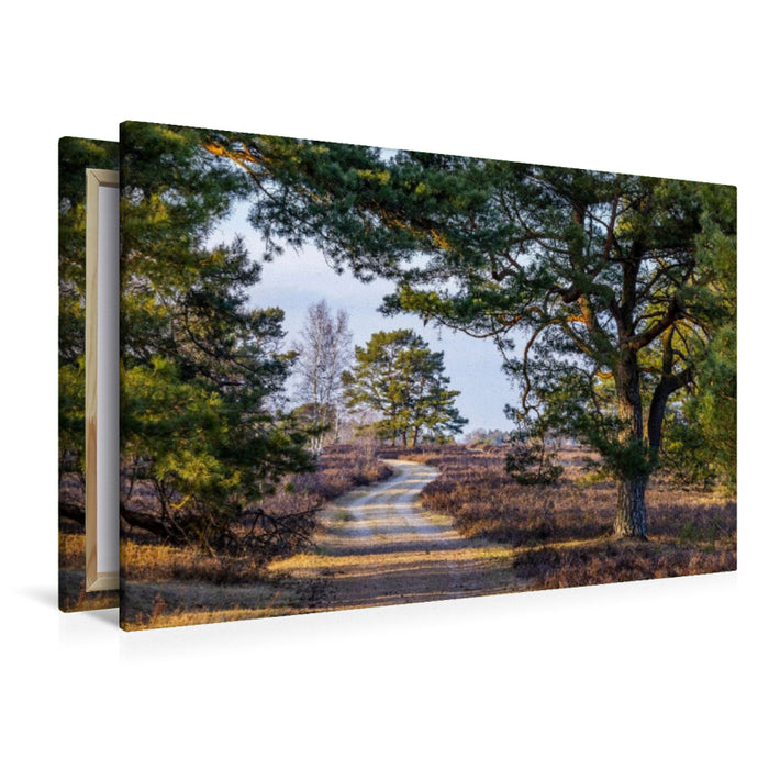 Premium Textil-Leinwand Heidelandschaft