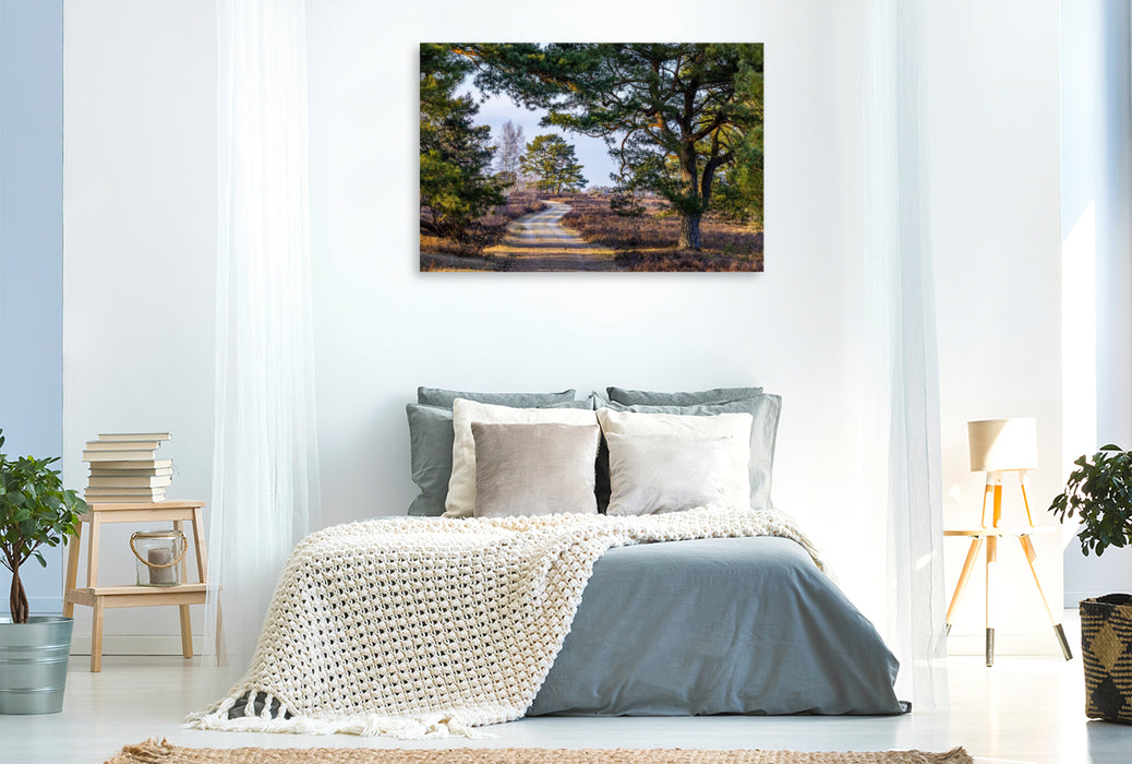 Premium Textil-Leinwand Heidelandschaft