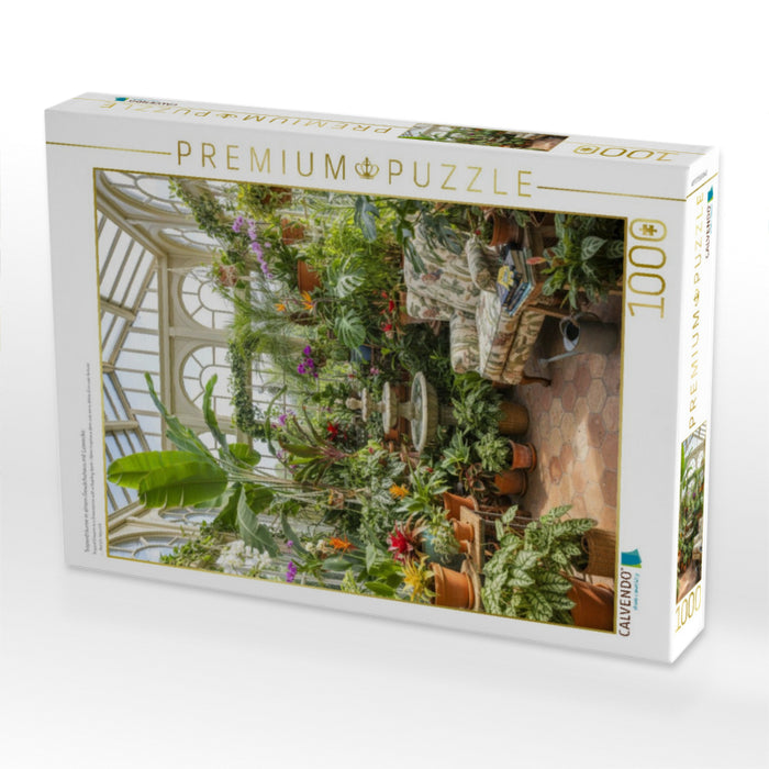 Tropenträume in einem Gewächshaus mit Leseecke - CALVENDO Foto-Puzzle'