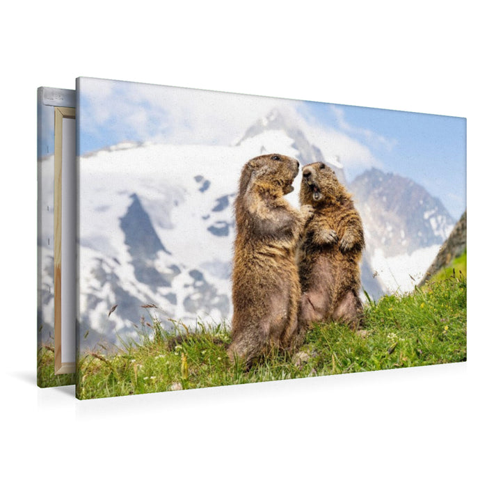 Premium Textil-Leinwand Topmodels