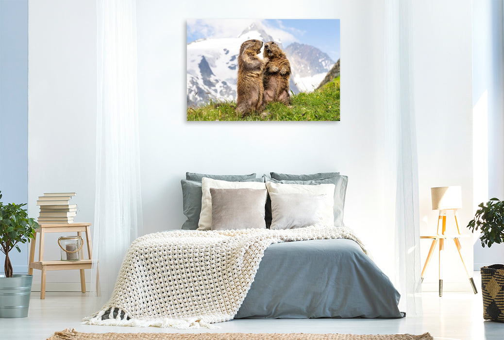 Premium Textil-Leinwand Topmodels