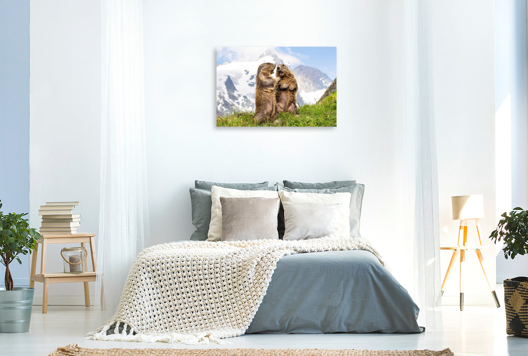 Premium Textil-Leinwand Topmodels