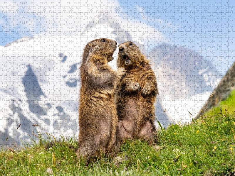 Topmodels - CALVENDO Foto-Puzzle'