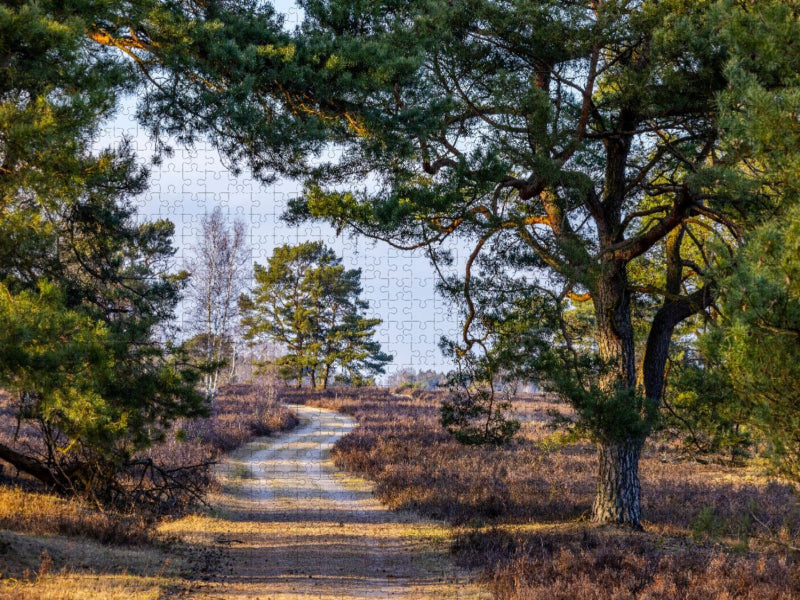 Heidelandschaft - CALVENDO Foto-Puzzle'