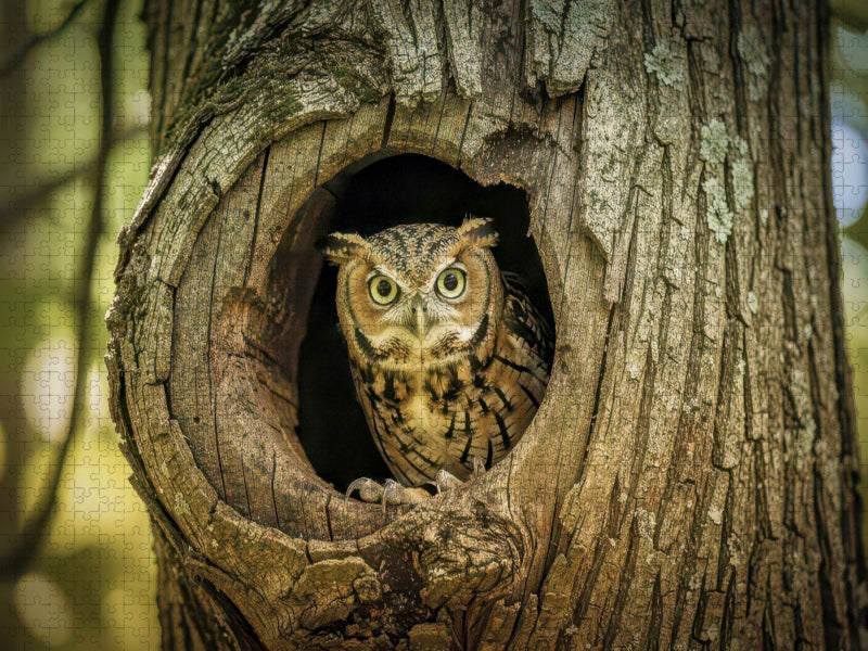 Wächter der Wildnis, kraftvoll, wachsam, ikonisch. - CALVENDO Foto-Puzzle'