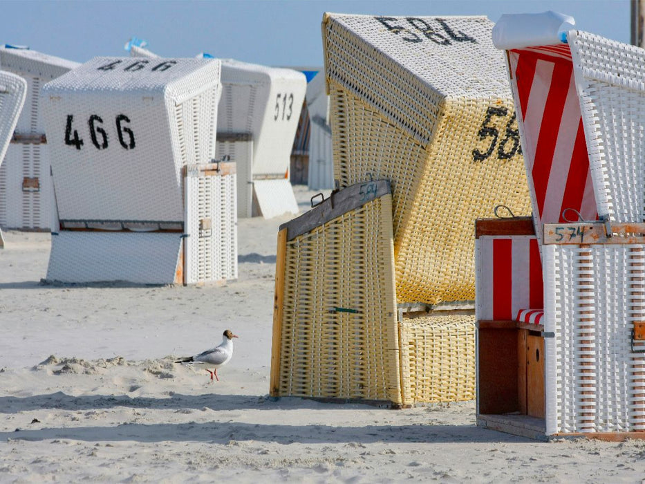 Möwe am Strand - CALVENDO Foto-Puzzle'