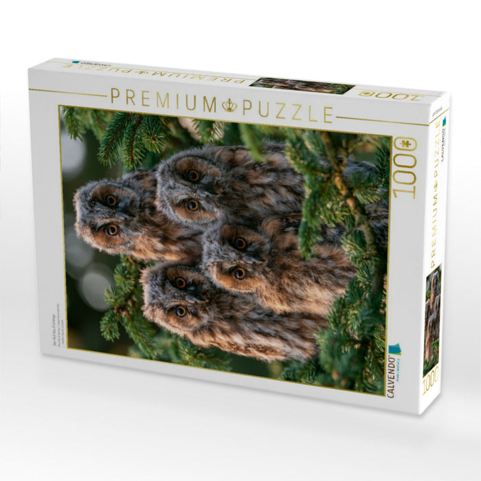 Der Ruf des Frühlings - CALVENDO Foto-Puzzle'