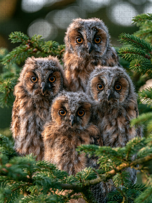 Der Ruf des Frühlings - CALVENDO Foto-Puzzle'