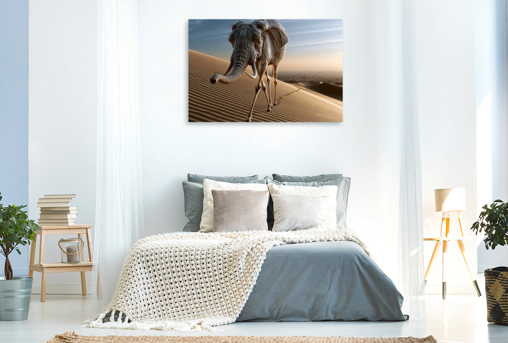 Premium Textil-Leinwand Wüstenelefant