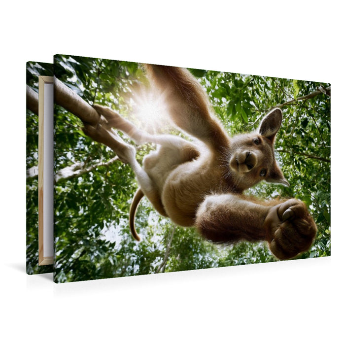 Premium Textil-Leinwand Regenwald-Känguru