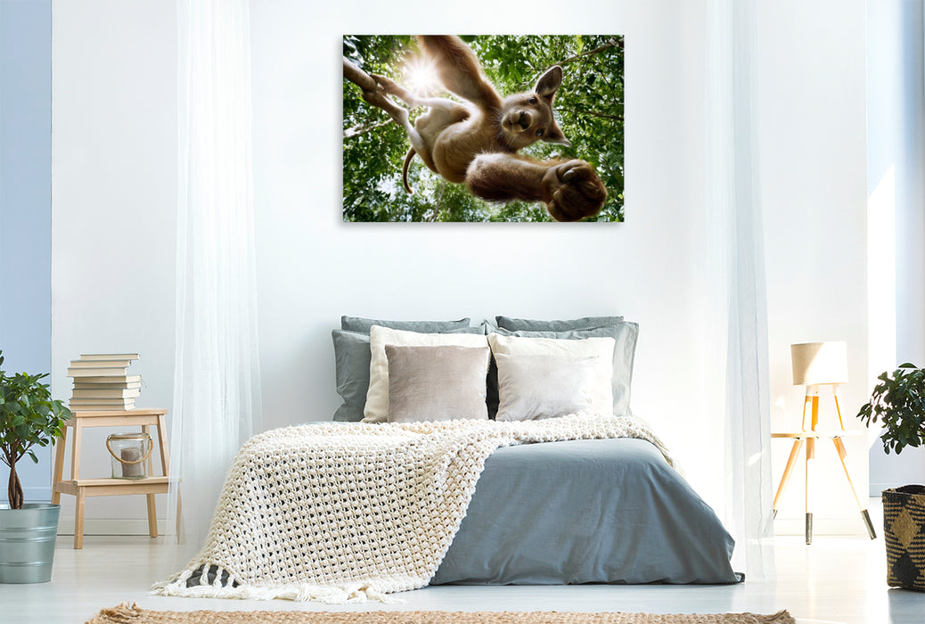 Premium Textil-Leinwand Regenwald-Känguru