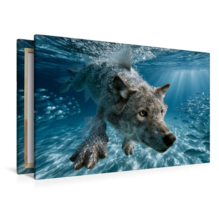 Premium Textil-Leinwand Meereswolf