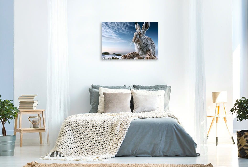 Premium Textil-Leinwand Luchshase