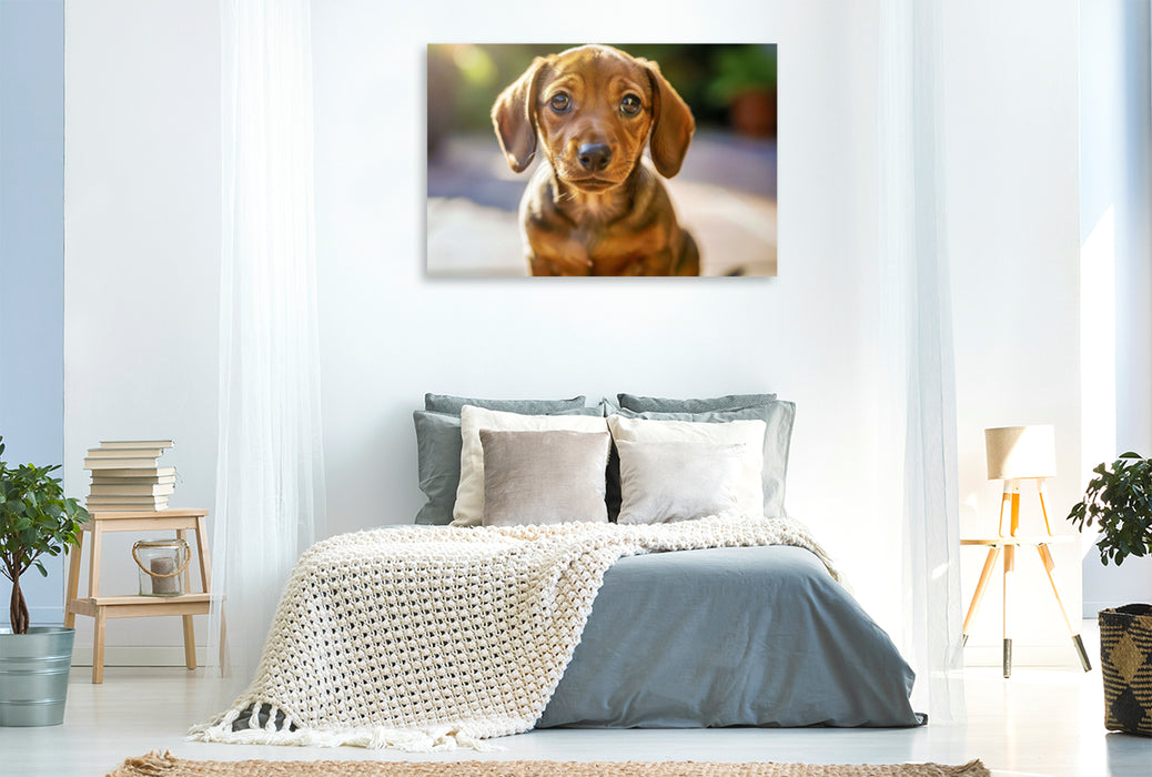 Premium Textil-Leinwand Mini‑Schnüffler, Neugier im Niedlichkeitsformat.