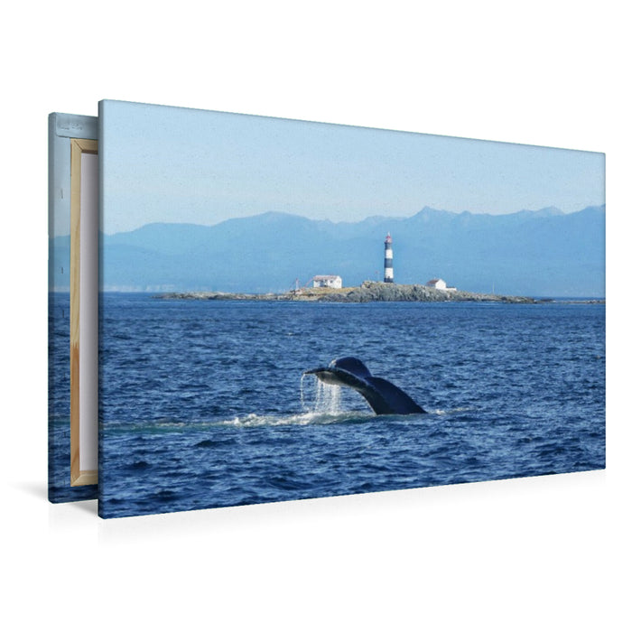 Premium Textil-Leinwand Whale Watching am Race Rocks Lighthouse in British Columbia