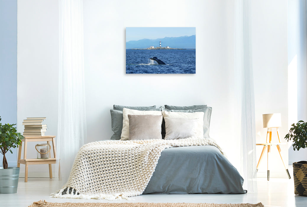 Premium Textil-Leinwand Whale Watching am Race Rocks Lighthouse in British Columbia