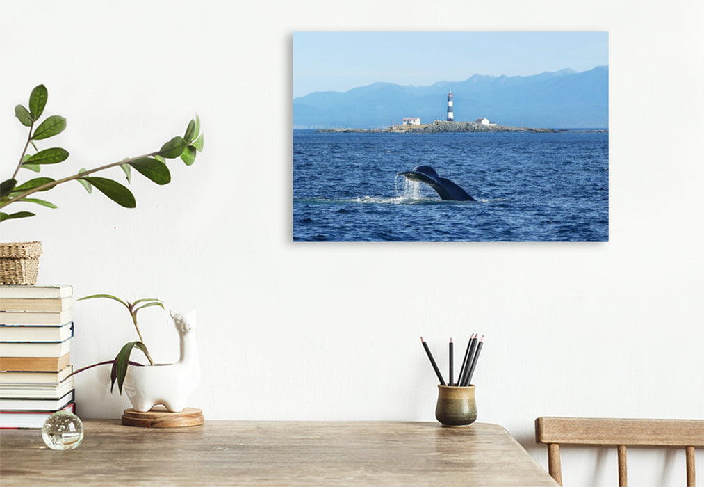 Premium Textil-Leinwand Whale Watching am Race Rocks Lighthouse in British Columbia