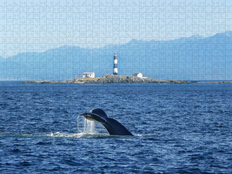 Whale Watching am Race Rocks Lighthouse in British Columbia - CALVENDO Foto-Puzzle'