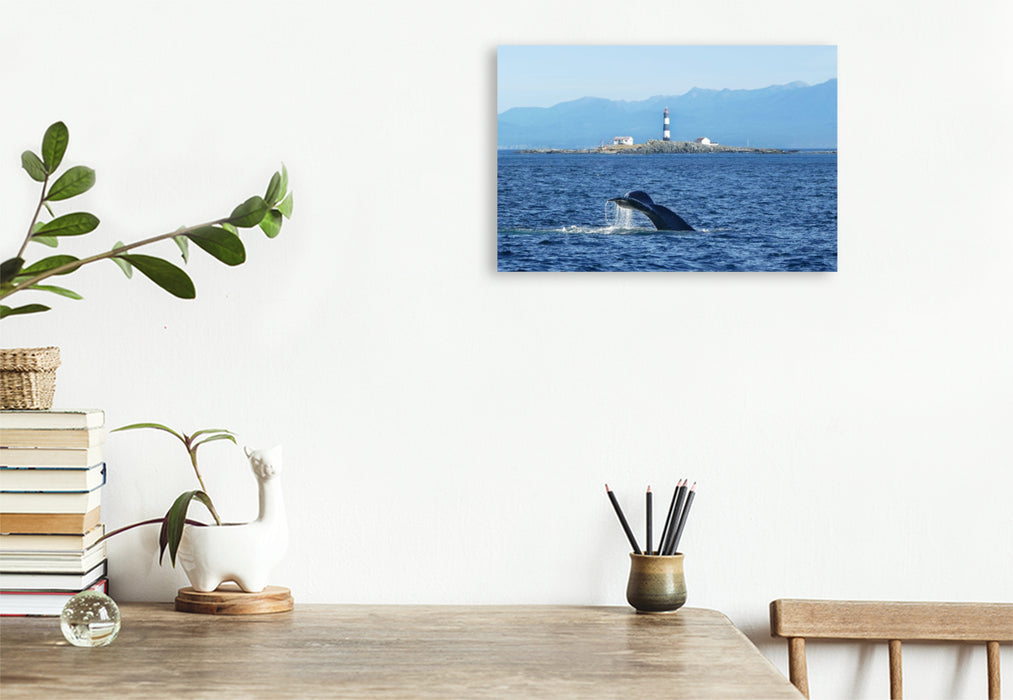 Premium Textil-Leinwand Whale Watching am Race Rocks Lighthouse in British Columbia