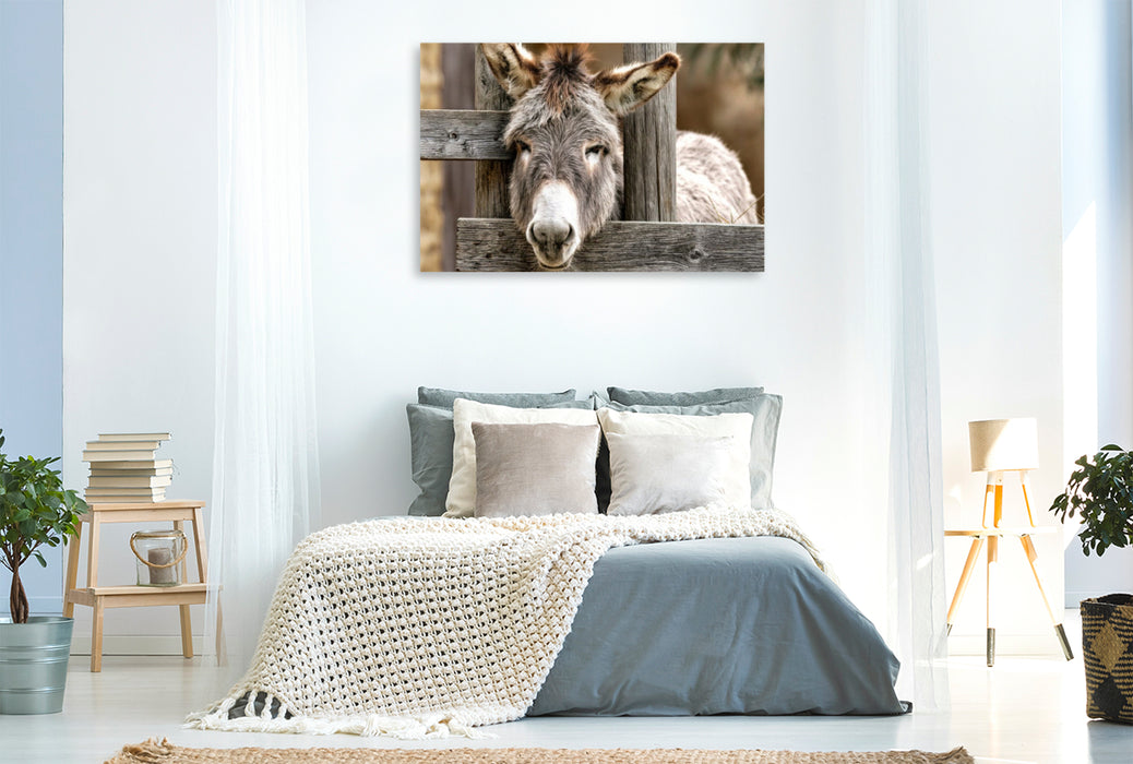Premium Textil-Leinwand Ich riskiere mal einen Blick in die große weite Welt