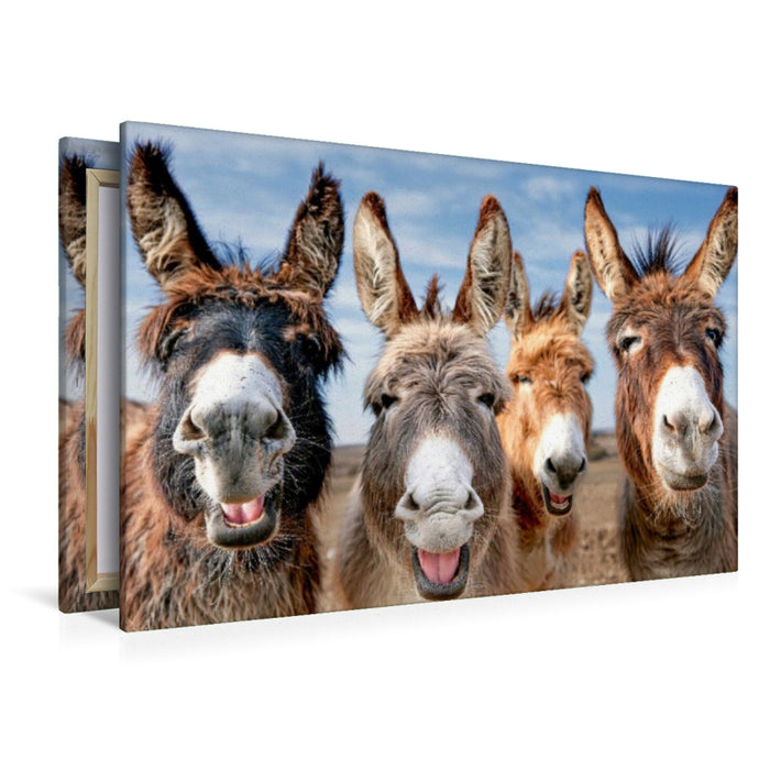 Premium Textil-Leinwand Vier Eselfreunde