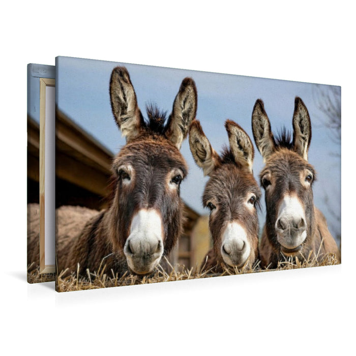 Premium Textil-Leinwand Wir drei vom Bauernhof