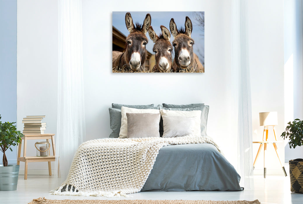 Premium Textil-Leinwand Wir drei vom Bauernhof