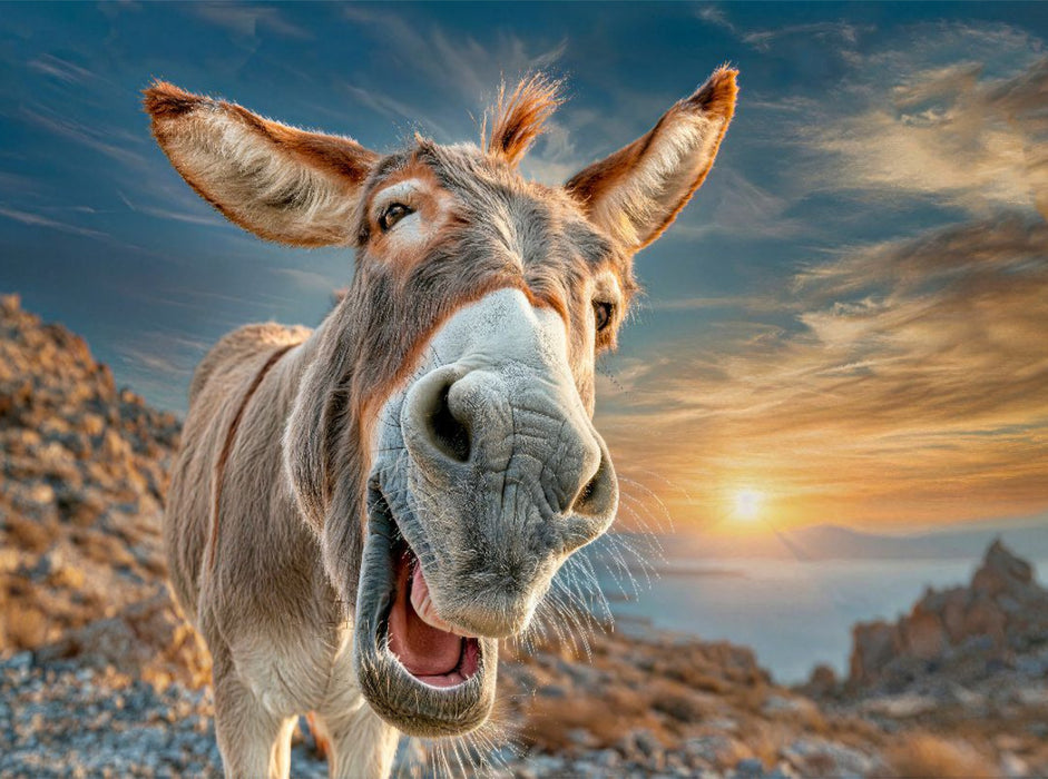 Hach - die Sonne geht bald unter - CALVENDO Foto-Puzzle'