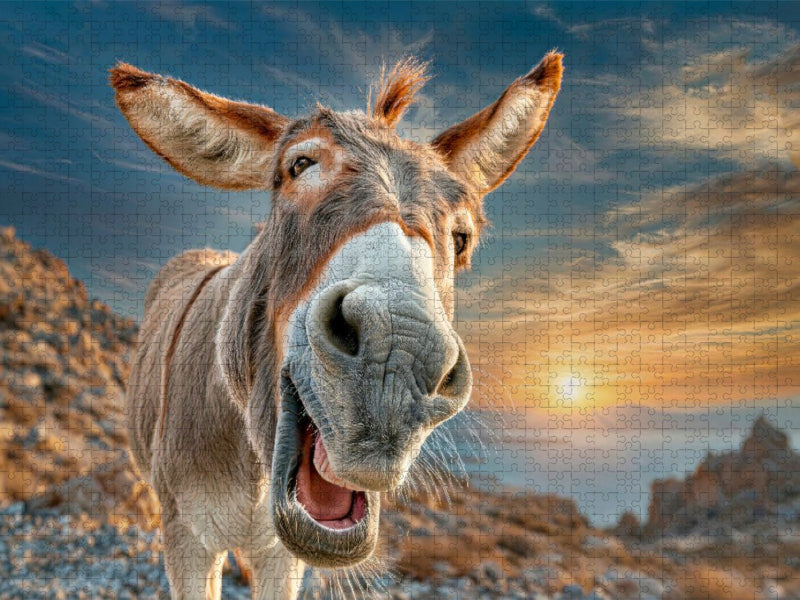 Hach - die Sonne geht bald unter - CALVENDO Foto-Puzzle'