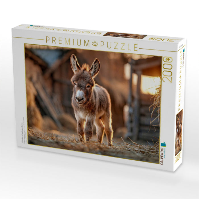 Ein Fohlen auf wackeligen Beinen - CALVENDO Foto-Puzzle'