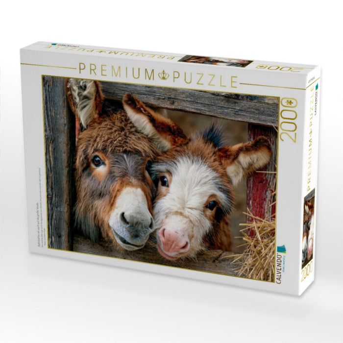 Bald dürfen wir auch auf die große Weide - CALVENDO Foto-Puzzle'