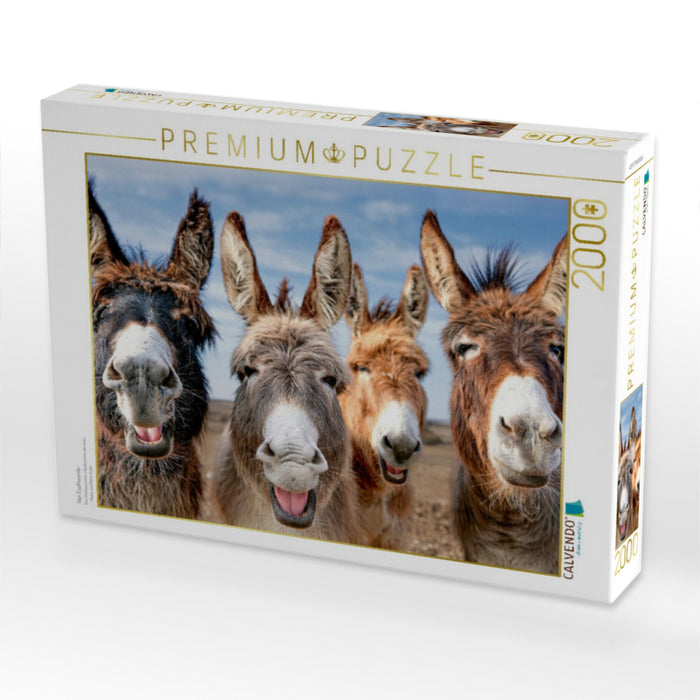Vier Eselfreunde - CALVENDO Foto-Puzzle'