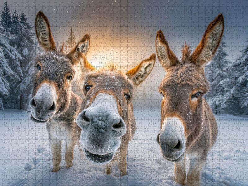 Schnee - so macht der Winter Spaß - CALVENDO Foto-Puzzle'