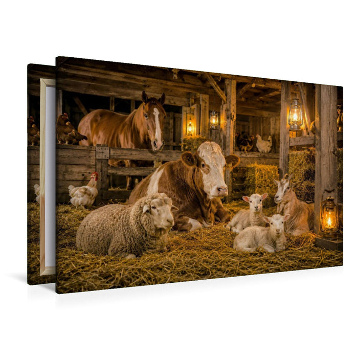 Premium Textil-Leinwand Abendruhe im Stall