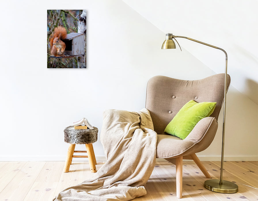 Premium Textil-Leinwand Eichhörnchen am Futterhaus
