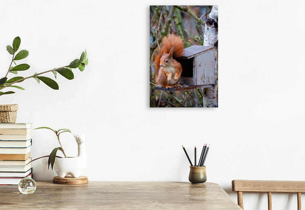 Premium Textil-Leinwand Eichhörnchen am Futterhaus