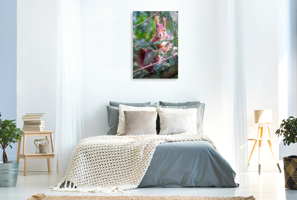 Premium Textil-Leinwand Eichhörnchen turnt im Baum