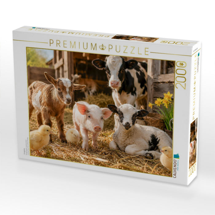 Jungtiere - CALVENDO Foto-Puzzle'