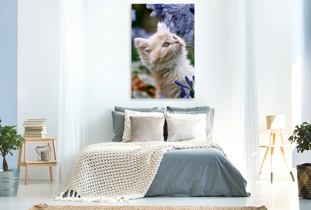 Premium Textil-Leinwand Du bist aber eine große Blume