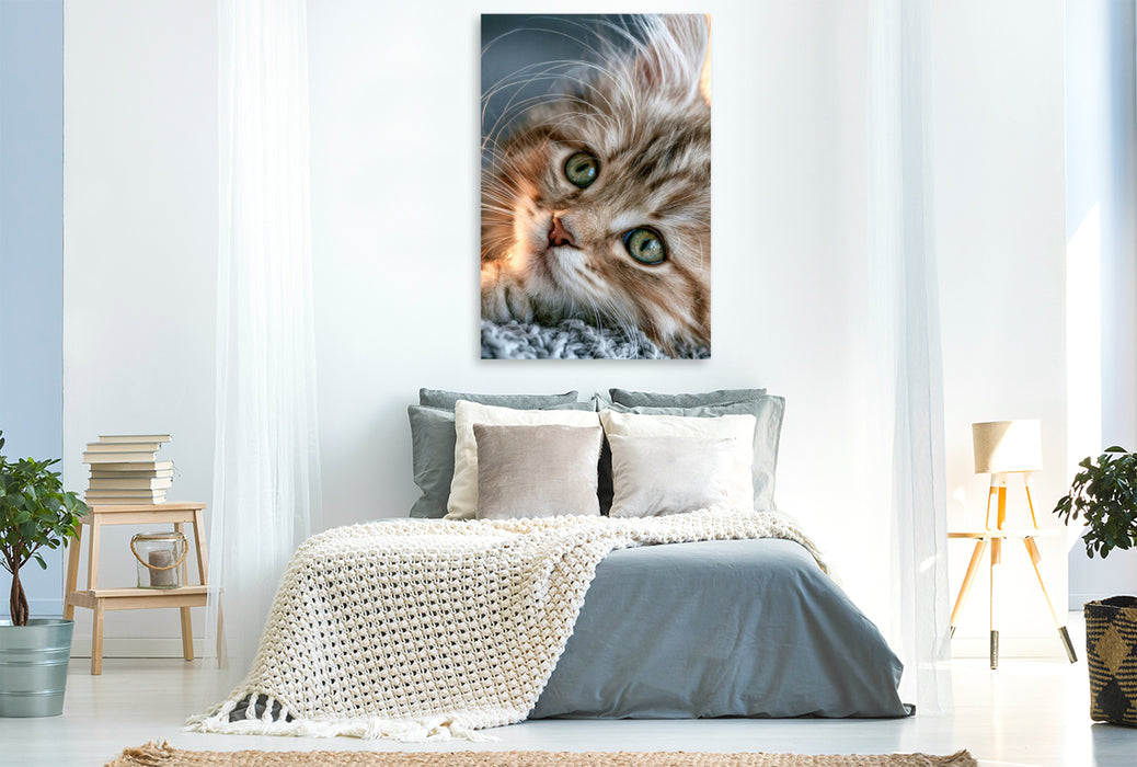 Premium Textil-Leinwand Eine Decke zum Kuscheln nur für mich