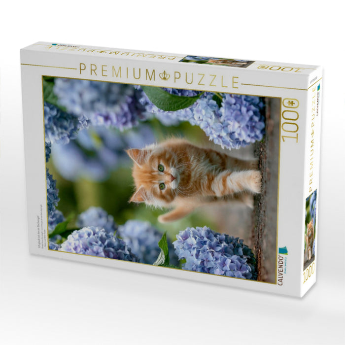 Ich glaub ich bin im Dschungel - CALVENDO Foto-Puzzle'